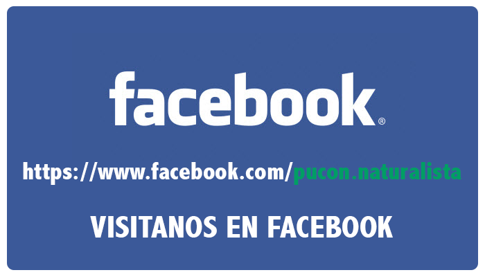 facebook naturalista